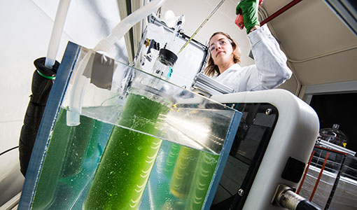 One researcher working on equipment in a lab.