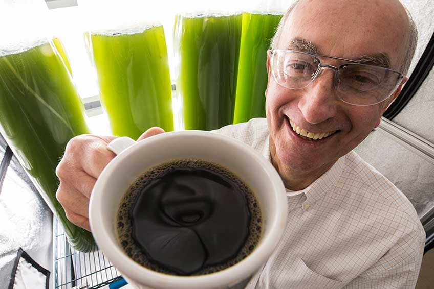 49683 Researcher with coffee.
