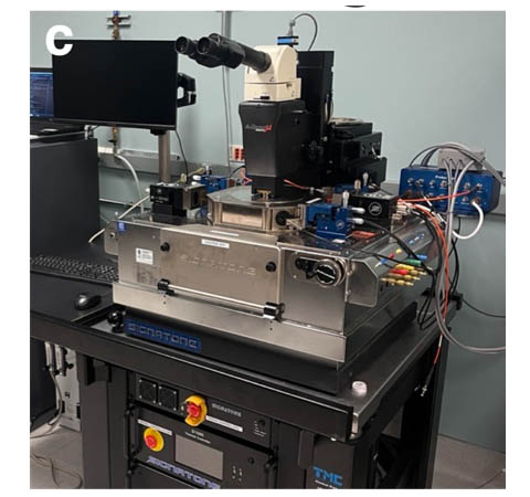 p close view of testing device