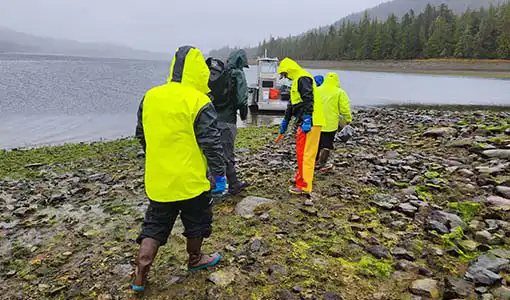 Continue reading about Five people walking on a rocky shoreline covered in algae with a boat in a body of water in the background.