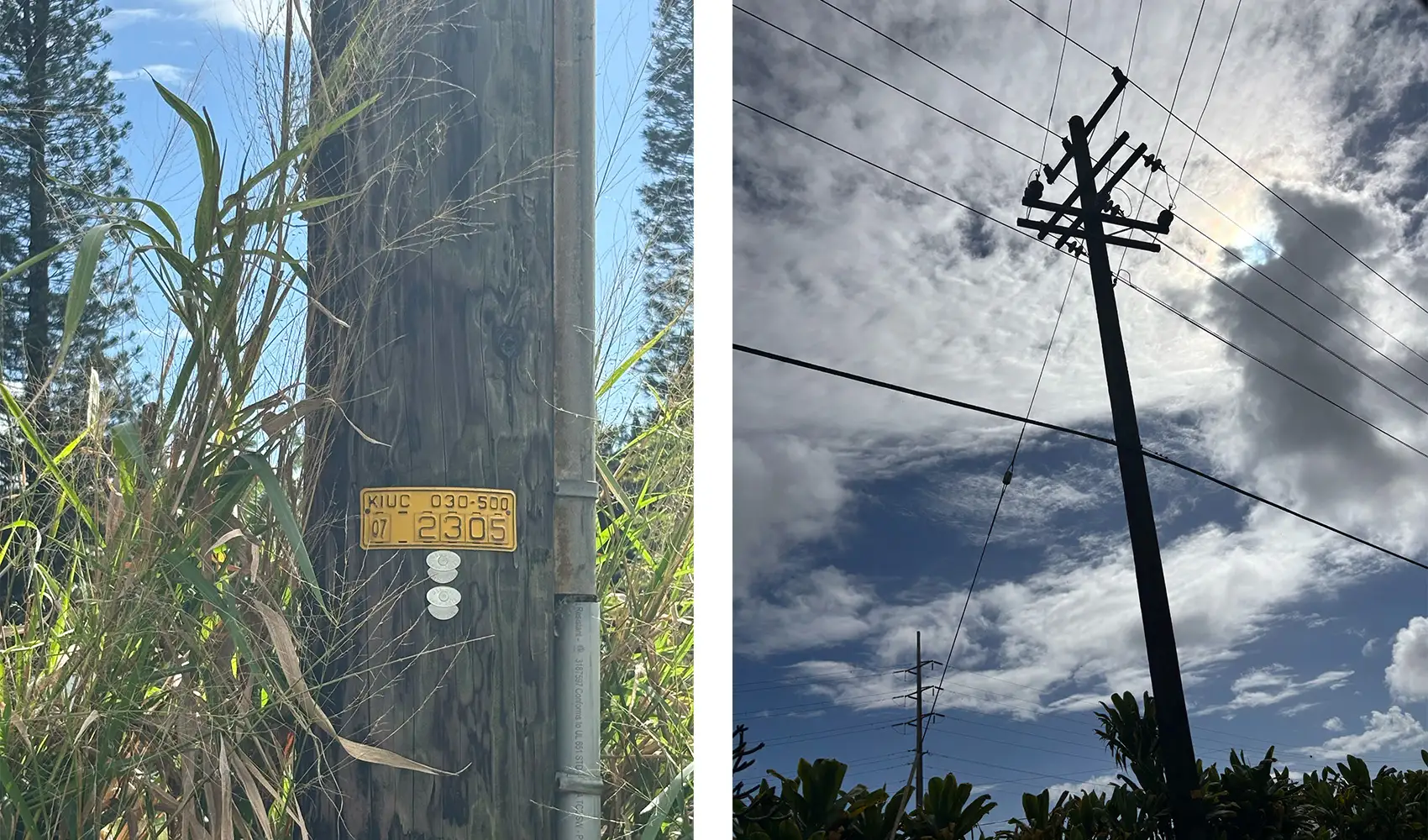 Two images; the first of a wood power line pole with a plaque on it, the second of power lines from below with clouds in the background.