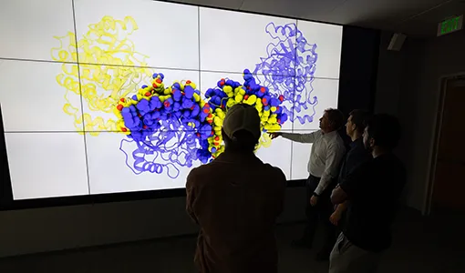 Four researchers examine a large visualization of an enzyme.