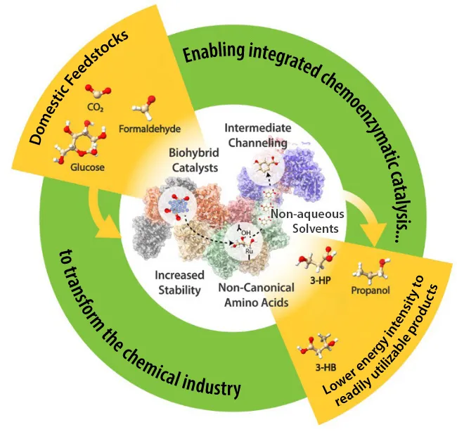 20260326-why-use-living-cells-nlr-is-making-chemicals-with-enzymes-alone-biohybrid-catalyst-flow-chart A flow chart showing the conversion of feedstocks (including CO2 and glucose) into readily utilizable products (like 3-HP and propanol) using biohybrid catalysts.