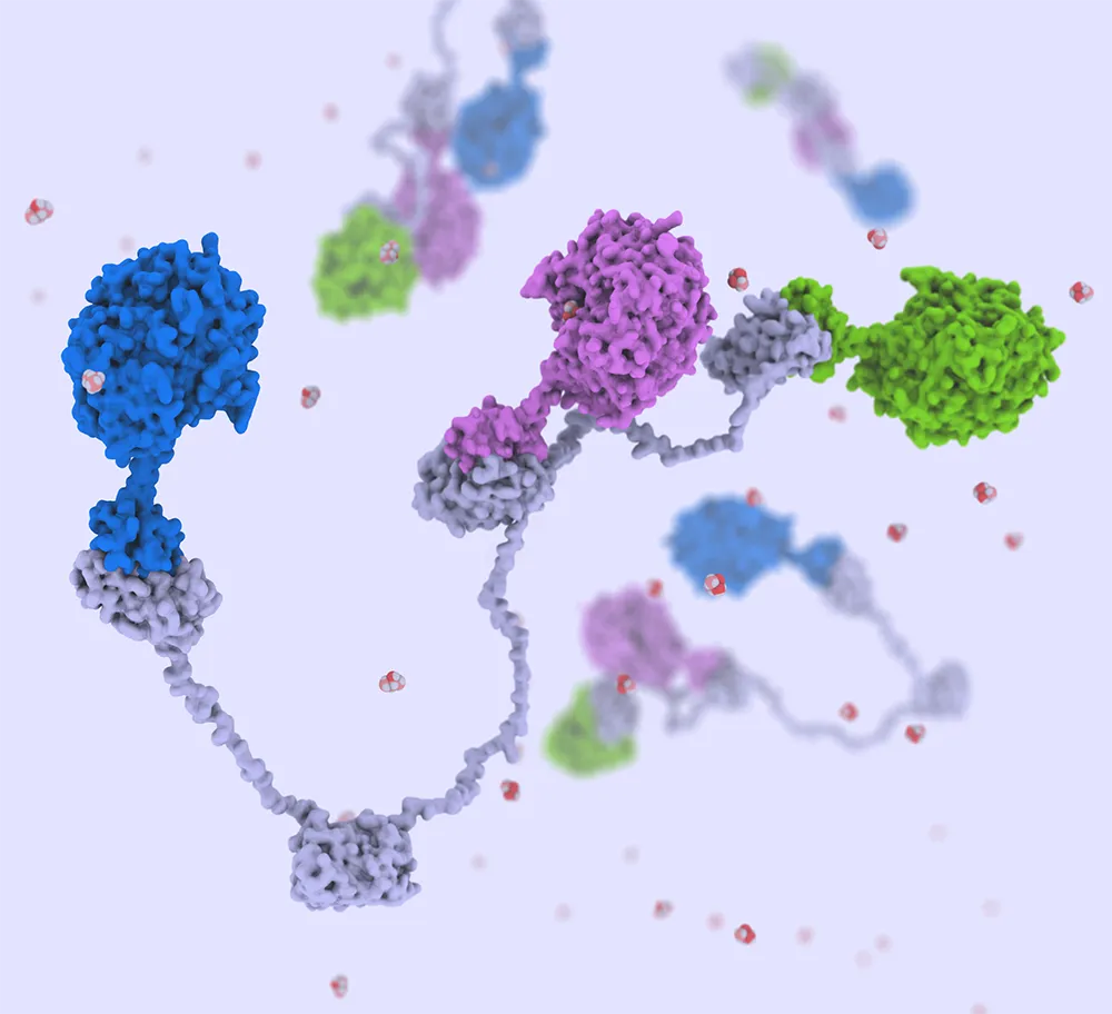 20260326-why-use-living-cells-nlr-is-making-chemicals-with-enzymes-alone-scaffolds-methods-immobilization A rendering of an enzymatic immobilization structure.