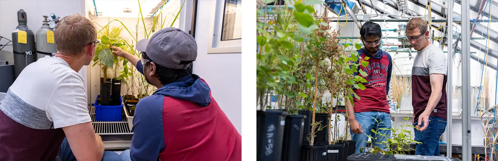 20260727-energy-discovery-awaits-within-the-spin-of-atoms-101600-101595 Two people touch and examine a plant under a light; two people stand in a greenhouse.