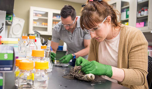 Continue reading about News Release: NREL, UK University Partner To Dive Deeper Into How Enzymes Digest Plastic