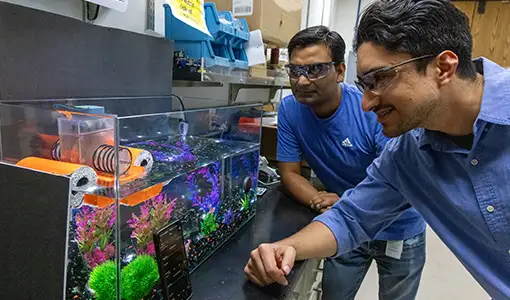 Continue reading about Two men examine a device floating on top of a fish tank.