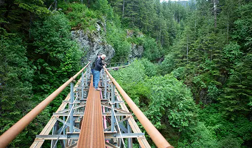 Continue reading about A person stands on a bridge overlooking a lush valley.