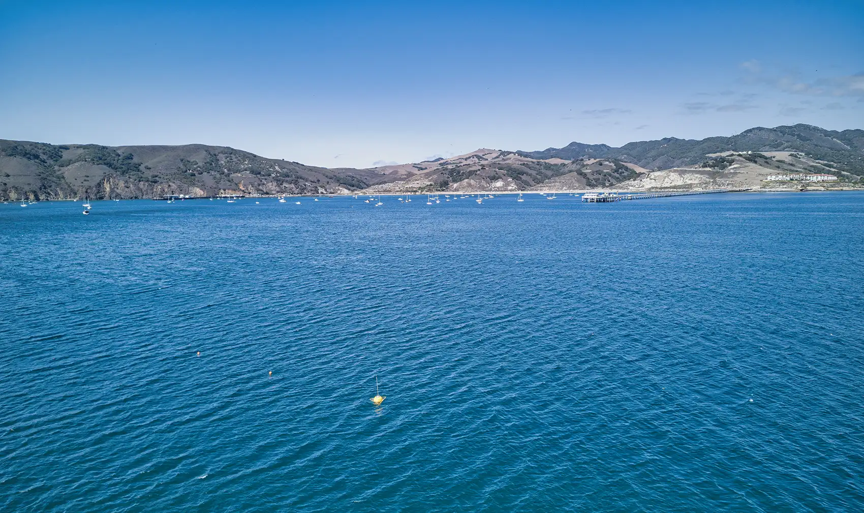 20261020-commercialization-hub-aims-to-ease-marine-energy-path-to-market-107523 A wave energy converter supports a data buoy in the open ocean.