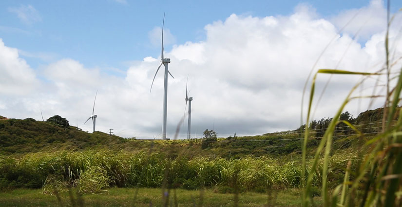 54459-lb-header Wind turbines at Kahuku Wind Farm.